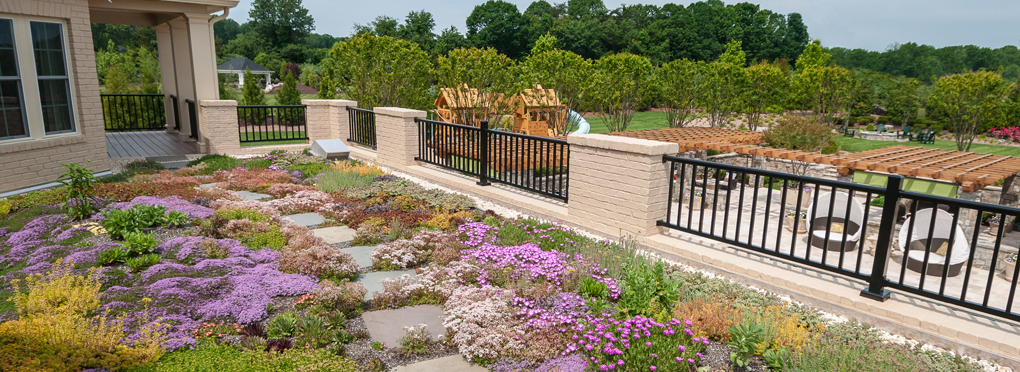 5 Benefits of a Green Roof (In Addition To Environmental Friendliness)