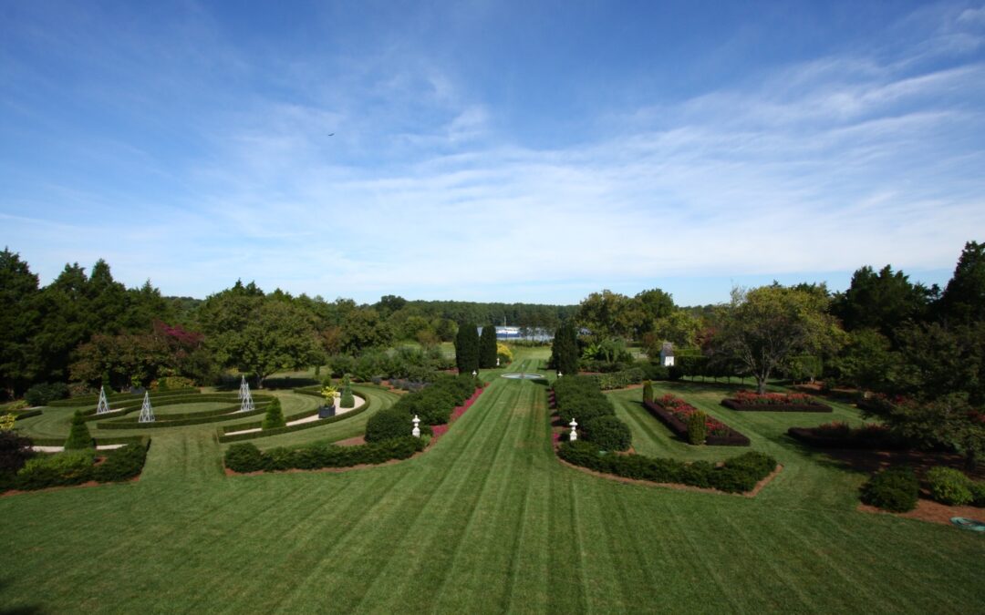 Turf Management