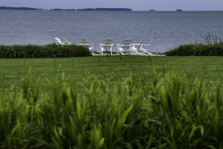 chesapeake