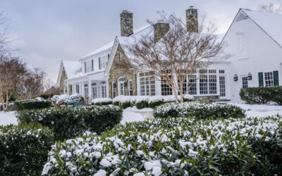 Seasonal Landscaping Tips for Maryland Homeowners: Fall & Winter Edition