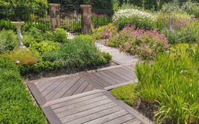 Is a Master Plan Right for You? The Benefits of a Long-Term Landscape Strategy