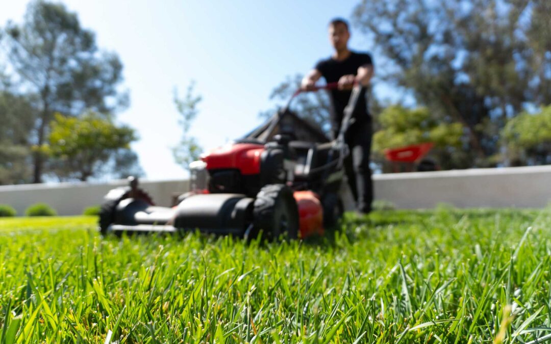 6 Reasons Regular Lawn Maintenance Is Essential for Your Landscape