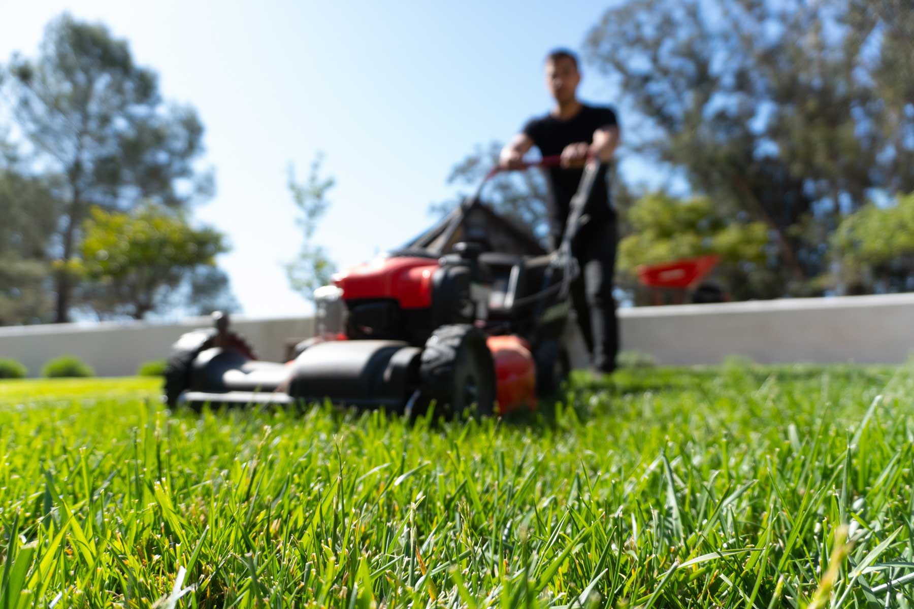 Landscape Maintenance