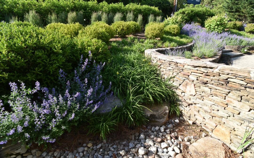 Demystifying Drainage: Landscape Water Management Solutions in Maryland, Virginia, and Washington, D.C.