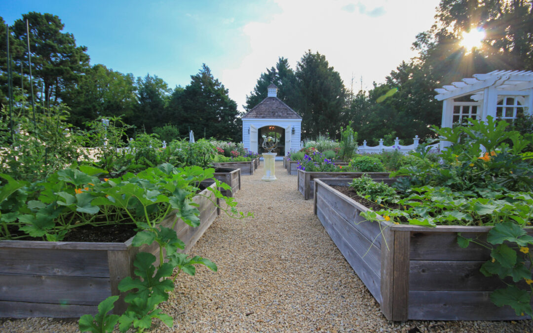 Edible Garden Design & Patios That Support a Kitchen Garden