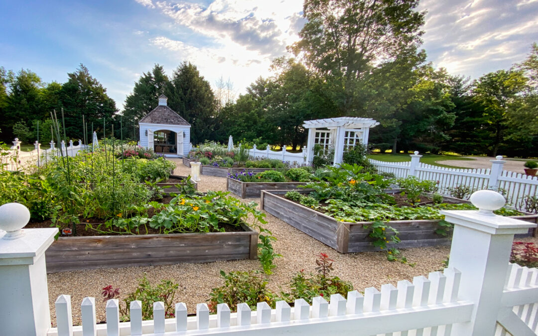 What Garden Design Looks Like Today: Blending Form, Function, and Sustainability
