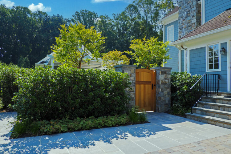 Entrance to Rear Yard