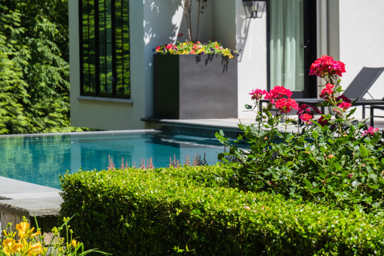 Vanishing Edge Pool Features