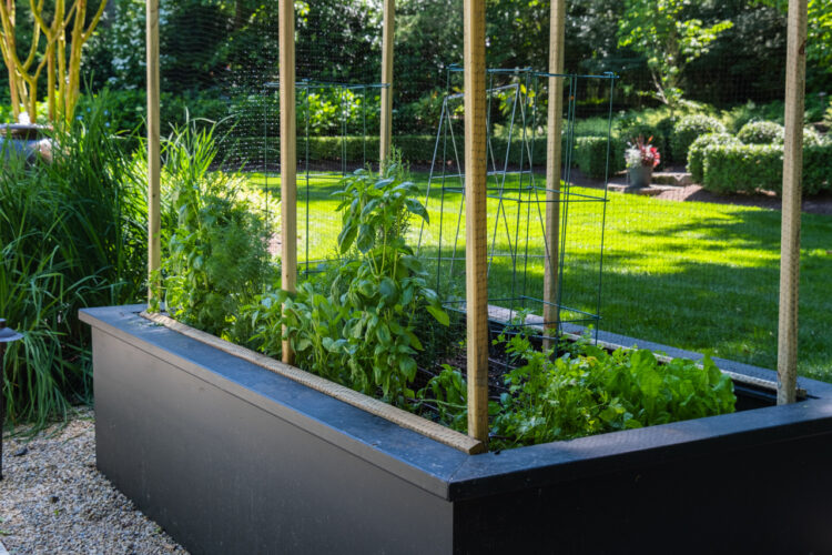 Raised Bed for Herbs and Veggies