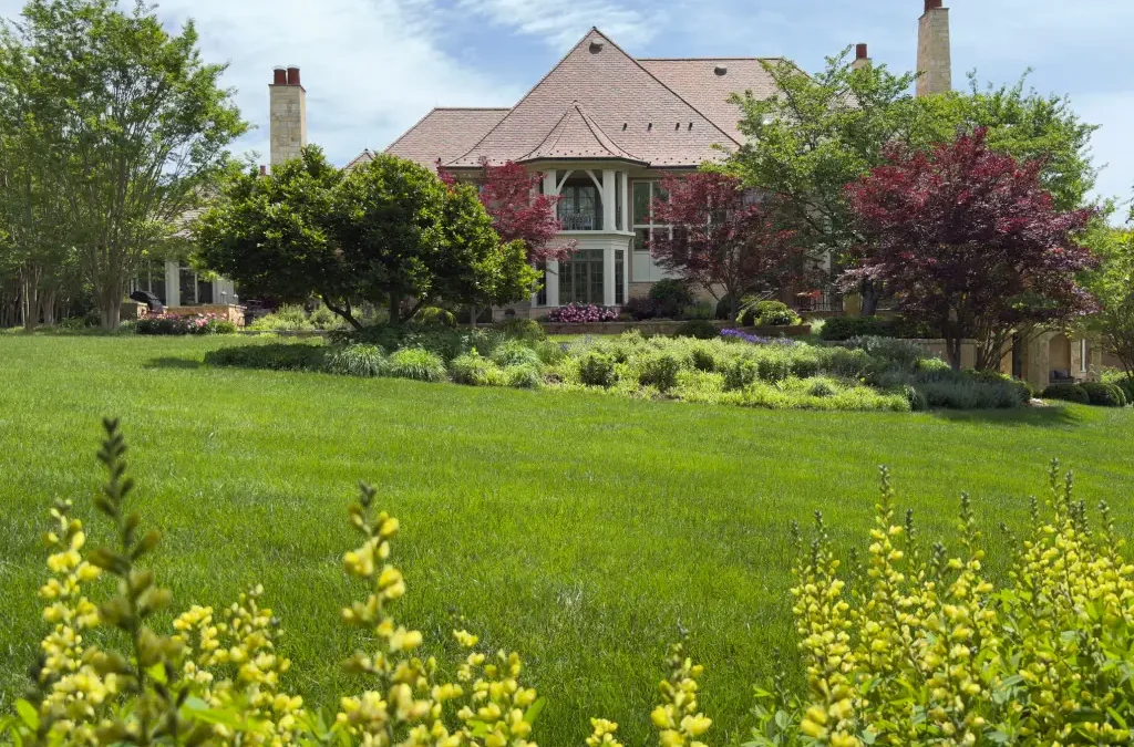 4 Garden Design Principles Every Homeowner Should Know