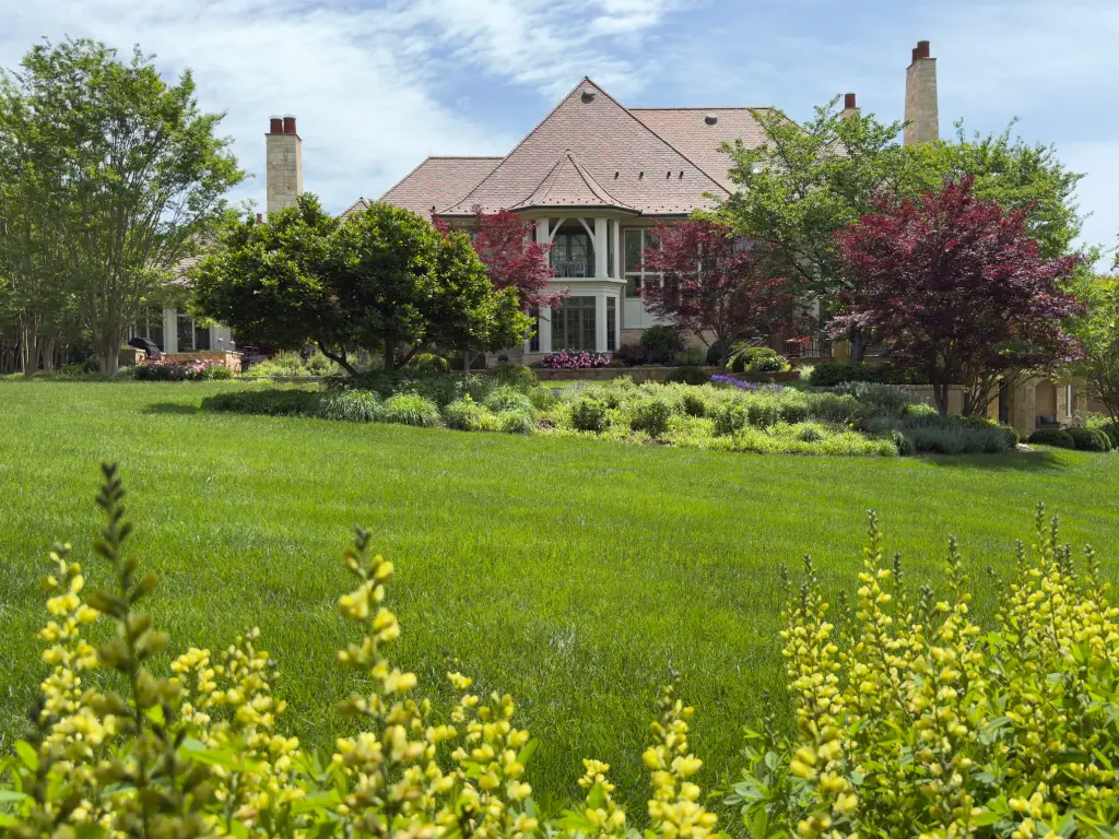 Seasonal Color Plants