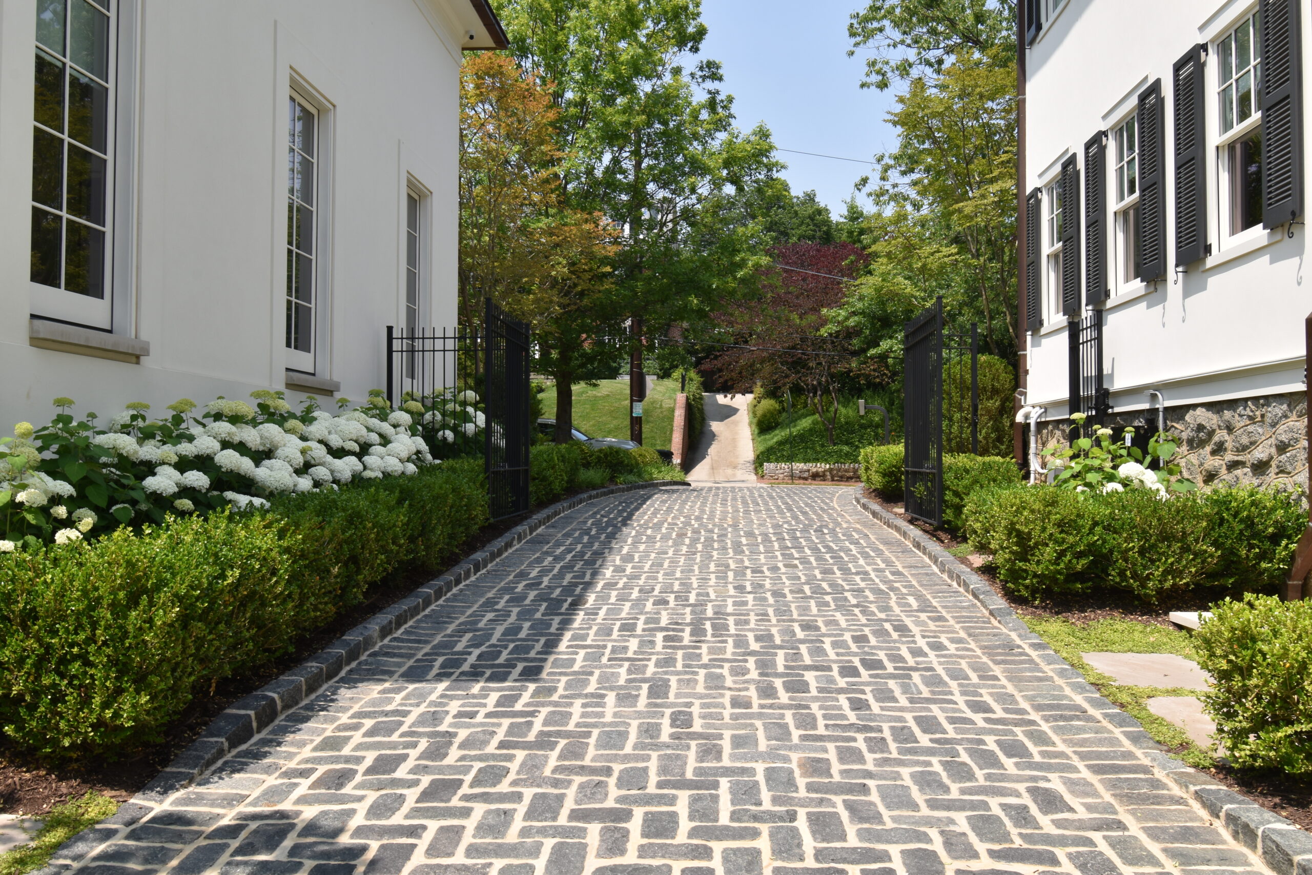 Cobblestone driveway with iron gate, boxwood hedges, and hydrangea plantings designed by McHale Landscape Design
