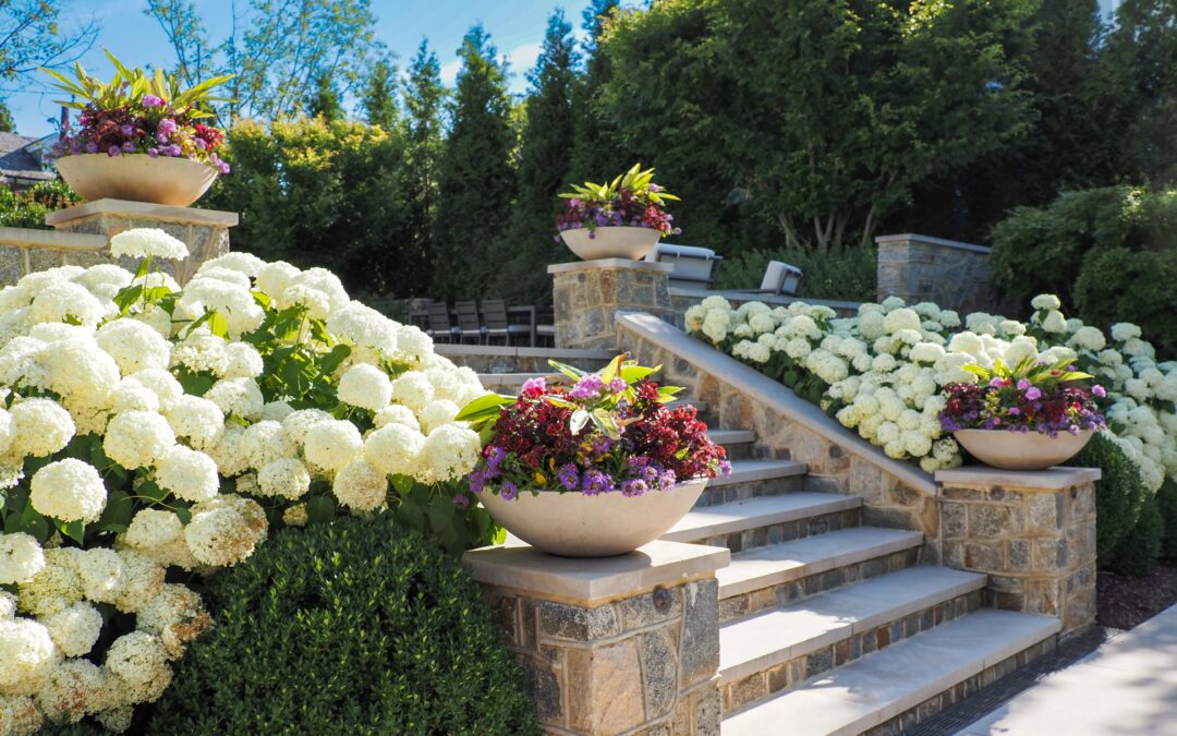 Why the First Year of a New Landscape Is the Most Important One