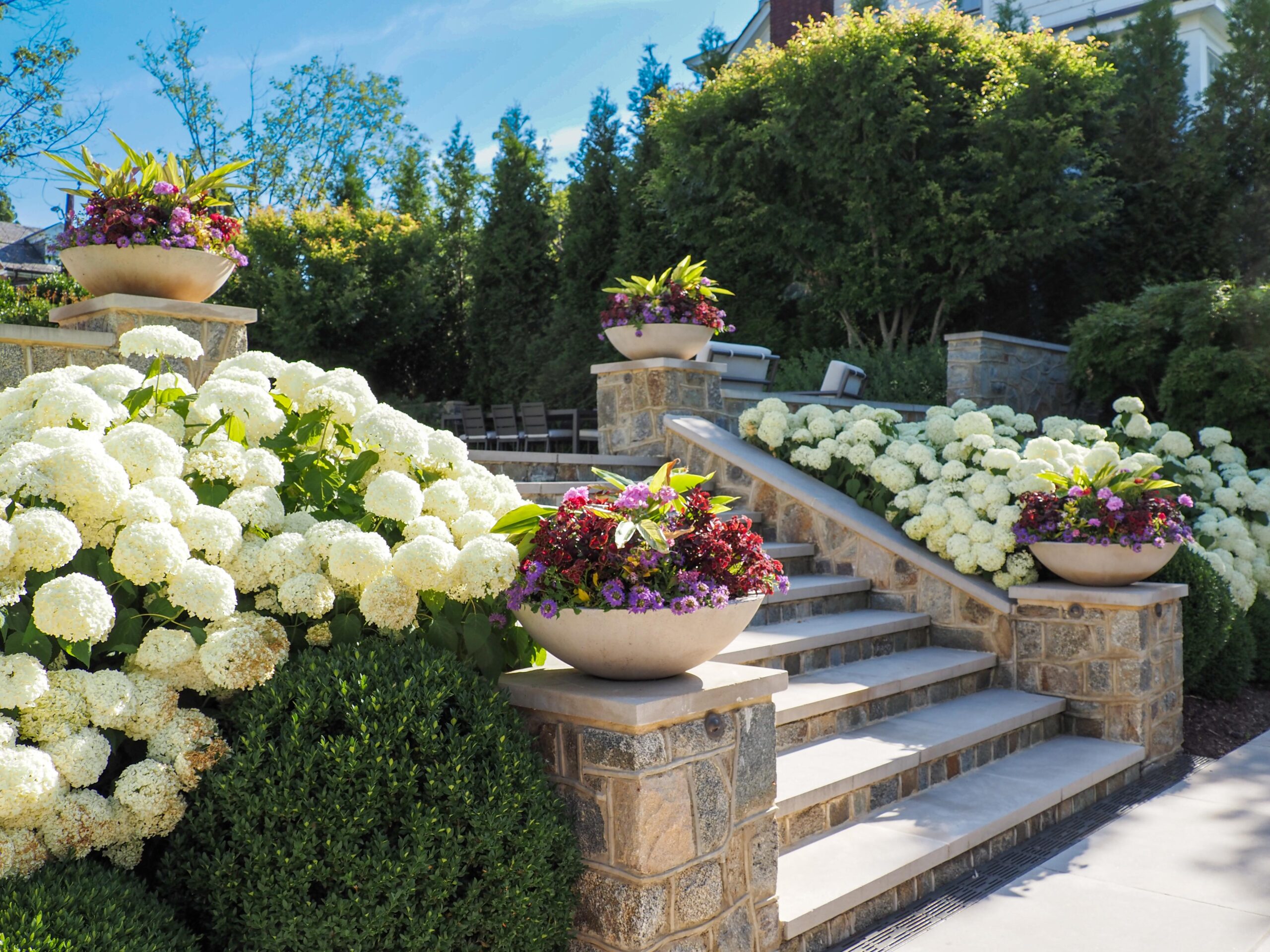 Why the First Year of a New Landscape Is the Most Important One