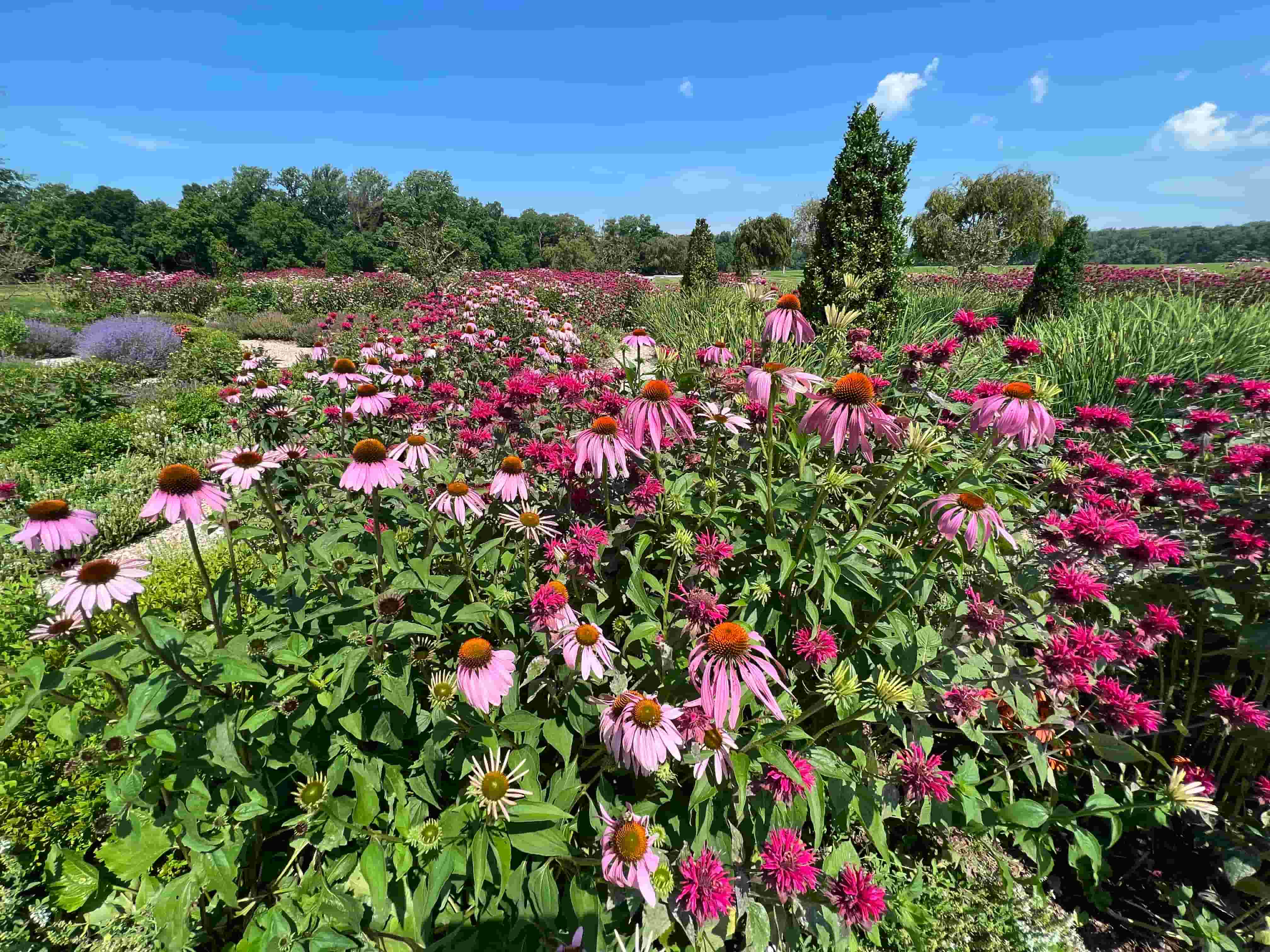 Landscape Design in Clarksburg: What New Construction Homeowners Should Know