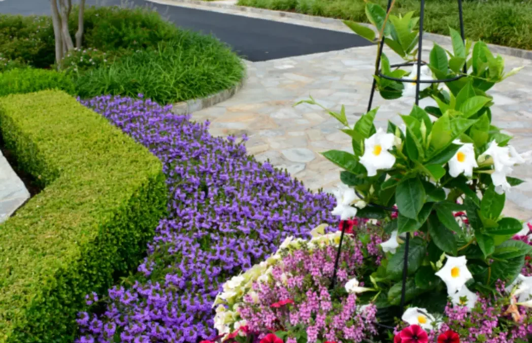 What Is Included in a Luxury Residential Landscape Design-Build Project?
