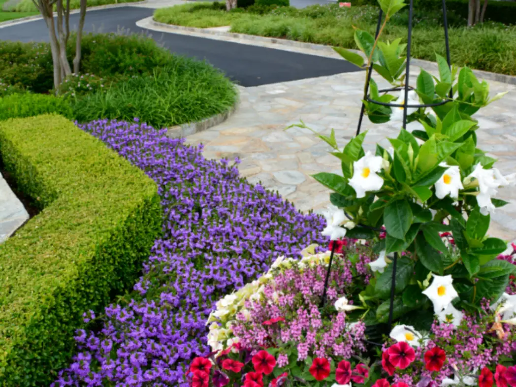 What Is Included in a Luxury Residential Landscape Design-Build Project?